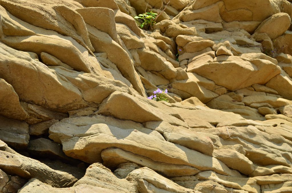 песчаные скалы