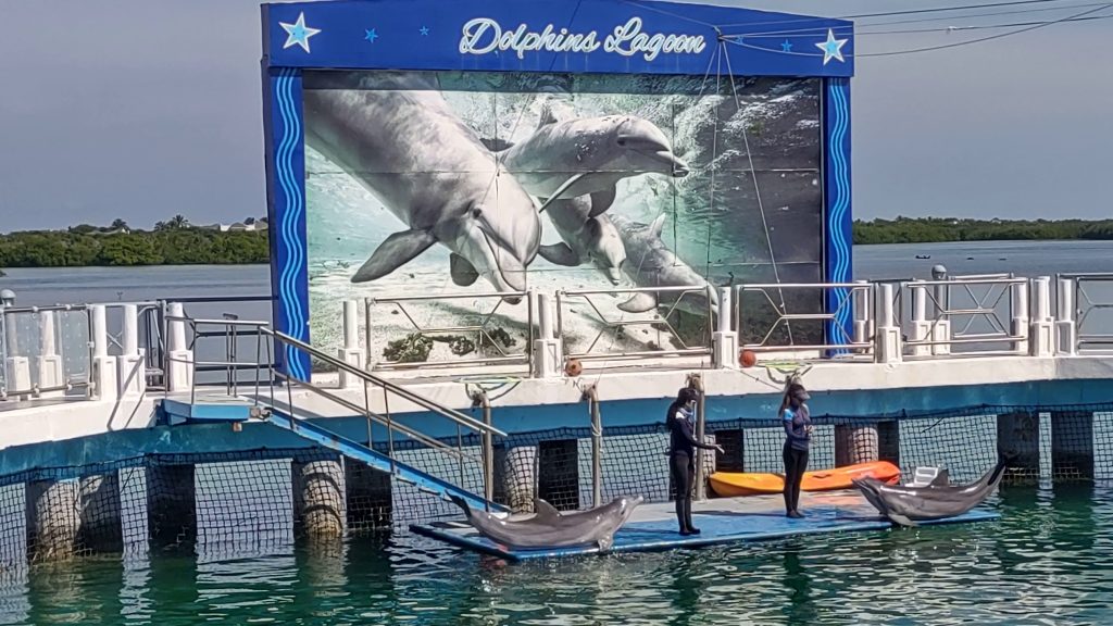 современный дельфинарий Кайо Санта Мария (Cayo Santa María)